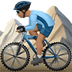 🚵🏽‍♂️ man mountain biking: medium skin tone display on Apple